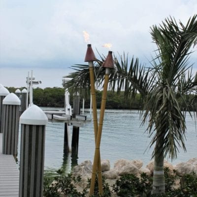 4 - IMG_6468